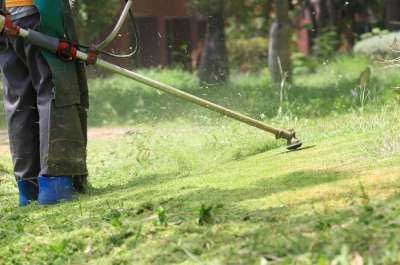 POSTI PER OPERAI ADDETTI ALLA MANUTENZIONE AREE VERDI A ROMA