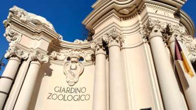 Il Bioparco di Roma cerca personale per la cura degli animali: domande entro il 2 aprile