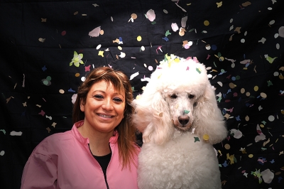 UN LAVORO SICURO CON LA SCUOLA TOELETTATURA CANI E GATTI