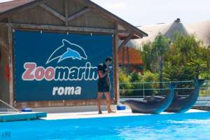 CASSIERI, CUOCHI, INFERMIERI E MAGAZZINIERI PER ZOOMARINE