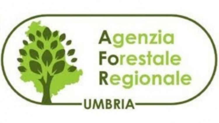 18 amministrativi e tecnici per l&rsquo;Agenzia forestale della Regione Umbria