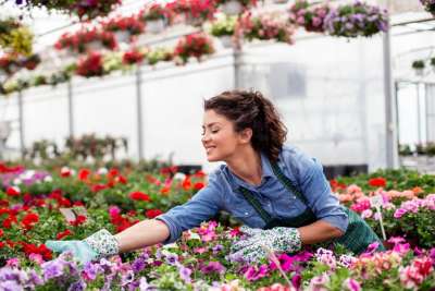 7 braccianti agricoli per il settore florovivaistico in provincia di Latina