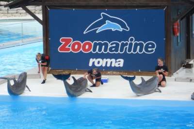 300 PER ZOOMARINE. L&rsquo;AZIENDA: &ldquo;INVIATECI IL CURRICULUM&rdquo;