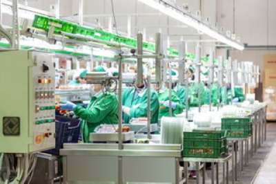 Azienda agricola cerca 30 addetti confezionamento in provincia di Viterbo