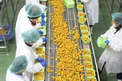 Amadori conferma 700 assunzioni: addetti produzione, impiegati, magazzinieri&hellip;