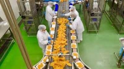 Amadori cerca addetti alla produzione, manutentori, ingegneri, legali&hellip;