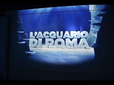 Finalmente si sblocca l&rsquo;Acquario di Roma: inaugurazione e posti in primavera