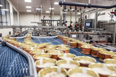 Area leader, ingegneri e manutentori elettrici: Bolton Group ne chiama 20