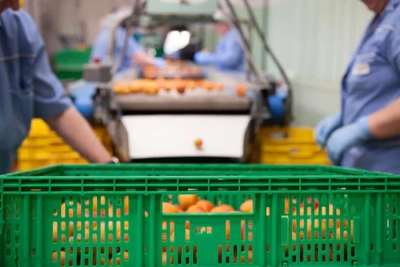 15 addetti alla produzione alimentare per stabilimento in provincia di Latina