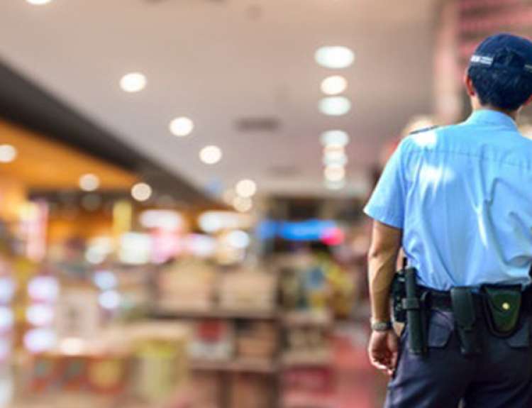 Ufficio e magazzino a Roma cerca custode appartenente alle categorie protette