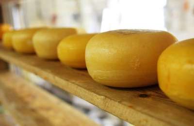 5 operai generici per la produzione del formaggio ed altri prodotti caseari