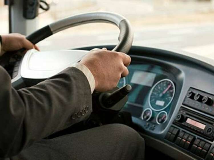 Pullman FlixBus: servono 50 autisti a Roma, Ferentino e altre sedi in Italia