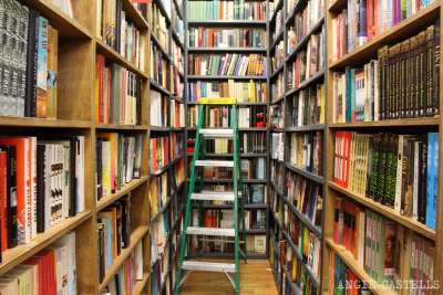 LIBRERIA A ROMA CERCA ADDETTI/E VENDITA PER IL PERIODO NATALIZIO