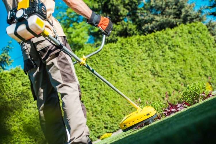 Il Comune di Vietri sul Mare (SA) cerca 45 operai addetti alla manutenzione del verde