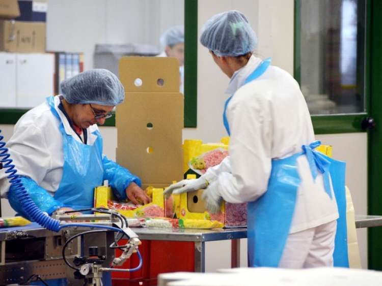 Manager, manutentori e tecnici per la stella gastronomica di Negroni