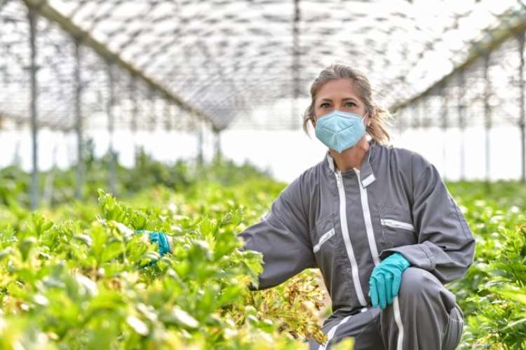 Azienda agricola assume operai a Roma: domande subito