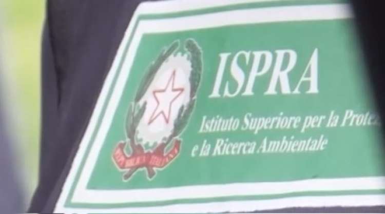 ISPRA cerca 7 collaboratori tecnici con diploma