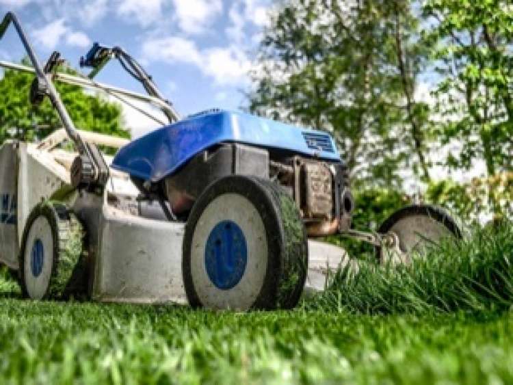 Porta Futuro: offerta di lavoro per 8 addetti alla manutenzione aree verdi di Roma