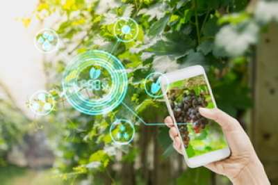 AGEA: concorso per 40 funzionari a tempo indeterminato