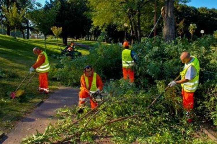 10 GIARDINIERI PER MANUTENZIONE SPAZI VERDI PUBBLICI E PRIVATI
