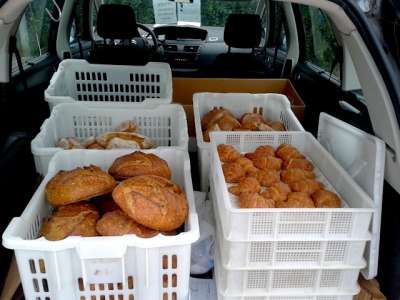 5 autisti con patente B per trasporto e consegna pane a Monterotondo