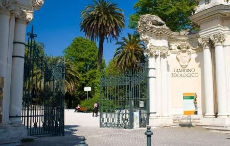 Il Bioparco di Roma cerca personale per la cura degli animali