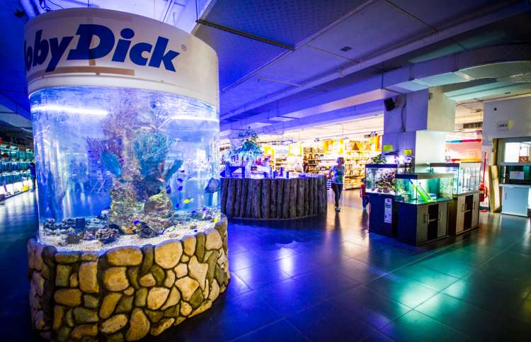 Moby Dick cerca personale per nuova e prossima apertura a Roma