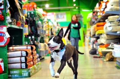 30 NEI NEGOZI MAXI ZOO CON LA PASSIONE PER GLI ANIMALI