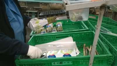 30 addetti al confezionamento per il settore ortofrutticolo in provincia di Viterbo