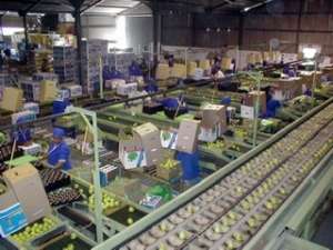 Supermercato della GDO cerca addetti al confezionamento in provincia di Roma