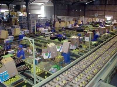 Supermercato della GDO cerca addetti al confezionamento in provincia di Roma