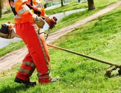 Operai agricoli specializzati per manutenzione del verde reti ferroviarie di Roma e Viterbo