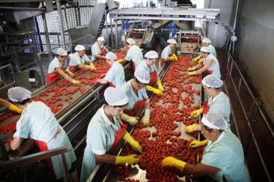 Mutti seleziona 1.100 lavoratori per le attivit&agrave; produttive e amministrative