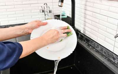 10 lavapiatti per mensa alberghiera