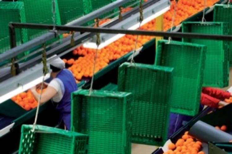 Azienda del settore ortofrutticolo cerca addetti produzione alimentare a Roma