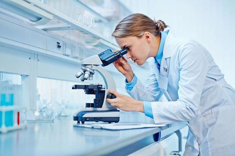 Alimentare e agro-zootecnia: 20 giovani talenti per Sacco System