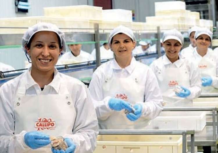 Addetti carico e scarico, banconisti, camerieri: ora Callipo ti sta cercando