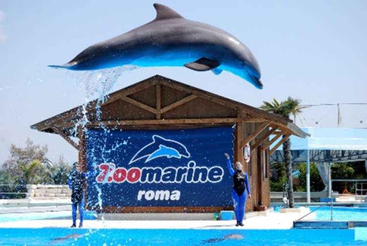 100 per Zoomarine: addetti all&rsquo;accoglienza e alle attrazioni, baristi, cassieri, manutentori&hellip;