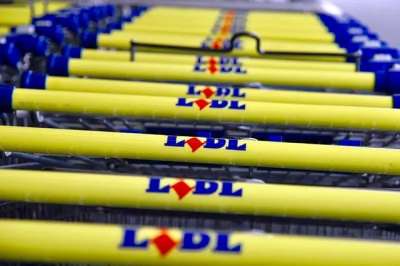 Ecco tutte le nove assunzioni Lidl a Roma e un po&rsquo; in tutta Italia