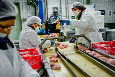 Agenti commercio, impiegati, manutentori, operai: ora Amadori ne assume 60