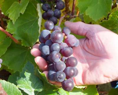 Openjobmetis ricerca e seleziona 1.500 persone in tutta Italia per il periodo estivo