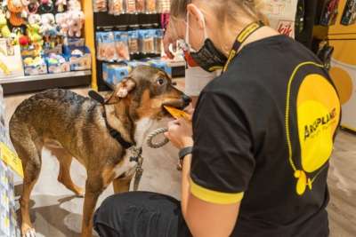 200 nei pet store di Arcaplanet: molte chance a Roma, possibilit&agrave; di tirocinio