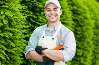 Storica azienda multiservizi di Roma assume un giardiniere esperto