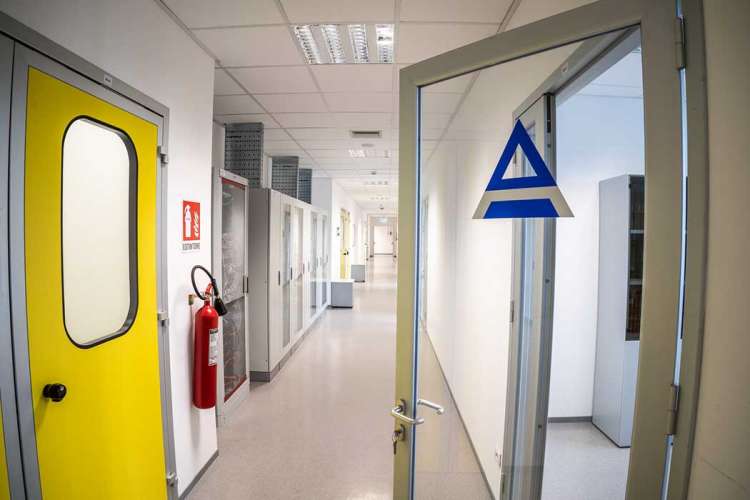 I nuovi posti Angelini Pharma: commerciali, manager e specialisti per la sede di Roma