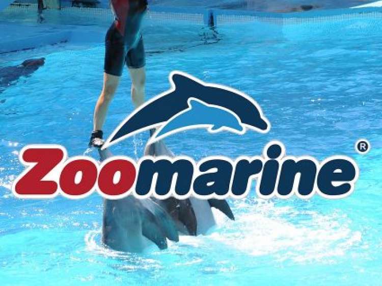 306 per Zoomarine: aperte le selezioni per la nuova stagione