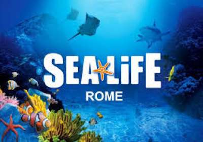 ACQUARIO DI ROMA: ADESSO CI SIAMO. ULTIMI DUBBI SUI POSTI