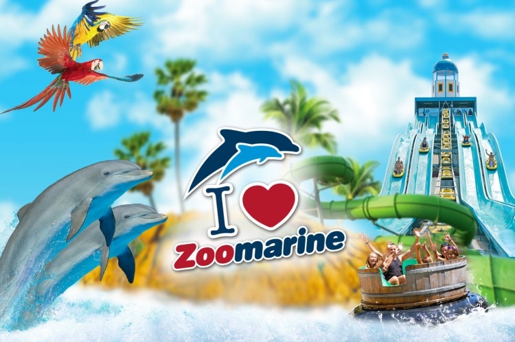 ZOOMARINE CERCA AMMINISTRATIVO, MANAGER E STAGISTA