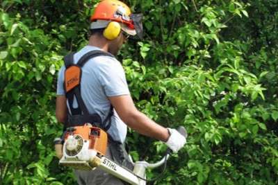 2 addetti alla gestione e manutenzione del verde pubblico per la provincia di Frosinone