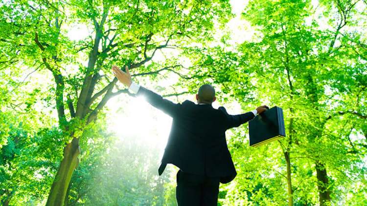 I posti nella green economy. Roberto Della Seta: &ldquo;500.000? S&igrave;, &egrave; possibile