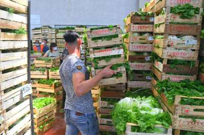 Magazzino di Velletri cerca facchini per carico e scarico della frutta